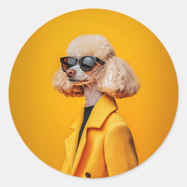 Chic Poodle in Sunglasses and Yellow Coat Classic Round Sticker (Front)