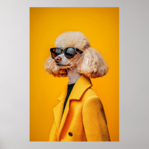 Chic Poodle in Sunglasses and Yellow Coat Poster