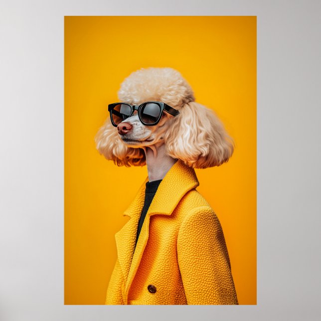 Chic Poodle in Sunglasses and Yellow Coat Poster (Front)
