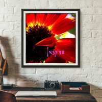 Chic Red Orange Daisy Close-up Photo “Inspire”