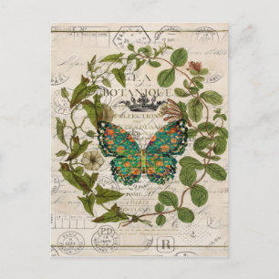 chic script french country botanical butterfly postcard