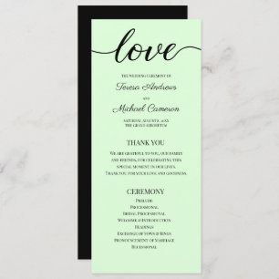 Chic Simple Mint green Wedding Love Script Program