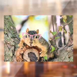 Chic Squirrel
