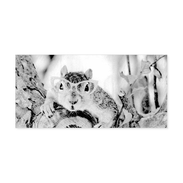 Chic squirrel self-inking stamp (Design)