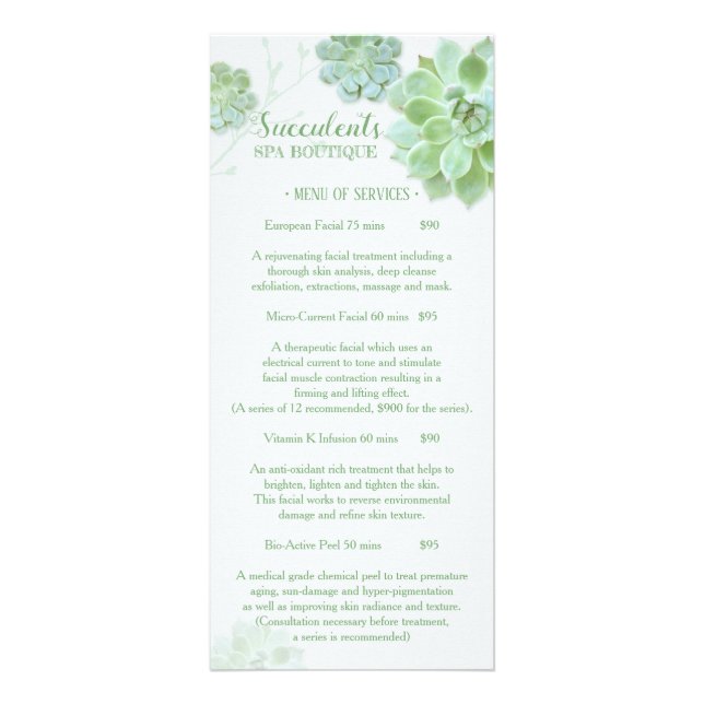 Chic Succulents Massage Spa Price List Menu 2 (Front)