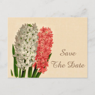 Chic Vintage Hyacinths 60th Birthday Save The Date Announcement Postcard