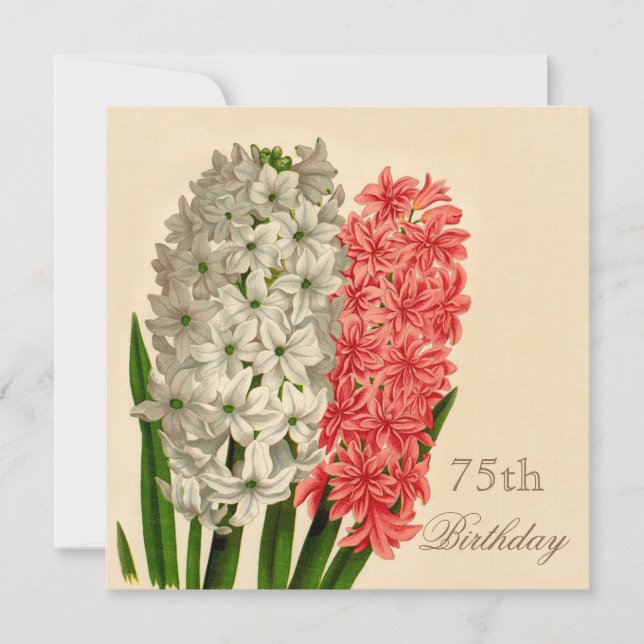 Chic Vintage Hyacinths 75th Birthday Invitation (Front)