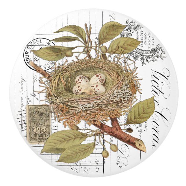 Chic Vintage Nest & Egg French Script Knob (Front)