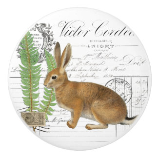 Chic Vintage Rabbit Fern French Script Knob