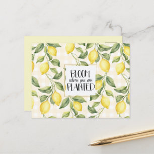 Chic Yellow Lemons Bloom Postcard