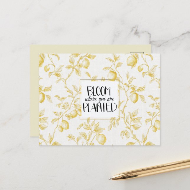 Chic Yellow Lemons Fruit Bloom Postcard (Front/Back In Situ)
