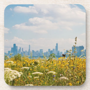 Chicago as seen from Montrose Harbour's bird Coaster