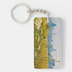 Chicago as seen from Montrose Harbour's bird Key Ring