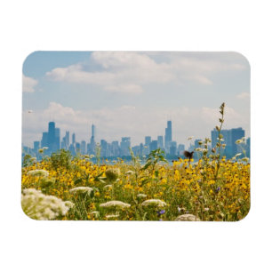 Chicago as seen from Montrose Harbour's bird Magnet