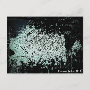 Chicago Blossoms Abstract Postcard
