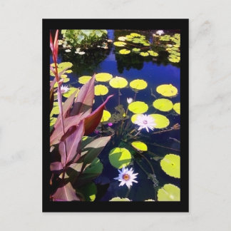 chicago botanic garden postcard