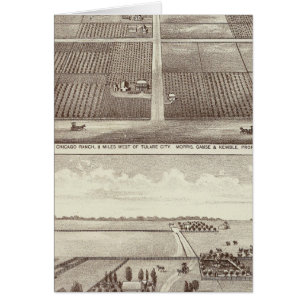 Chicago, Kay ranches
