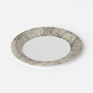 Chicago Milwaukee and St Paul Ry and connections Paper Plate
