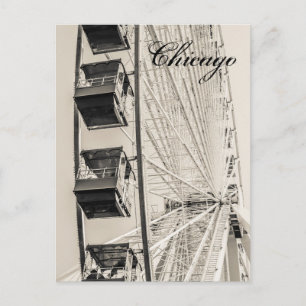 Chicago Navy Pier Ferris Wheel Postcard