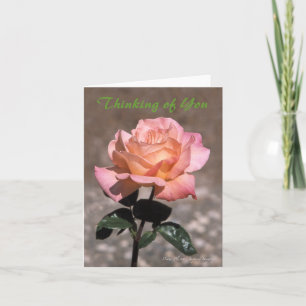 Chicago Peace Rose Card