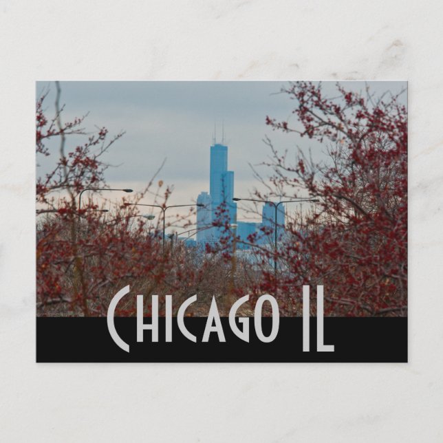 chicago postcard (Front)