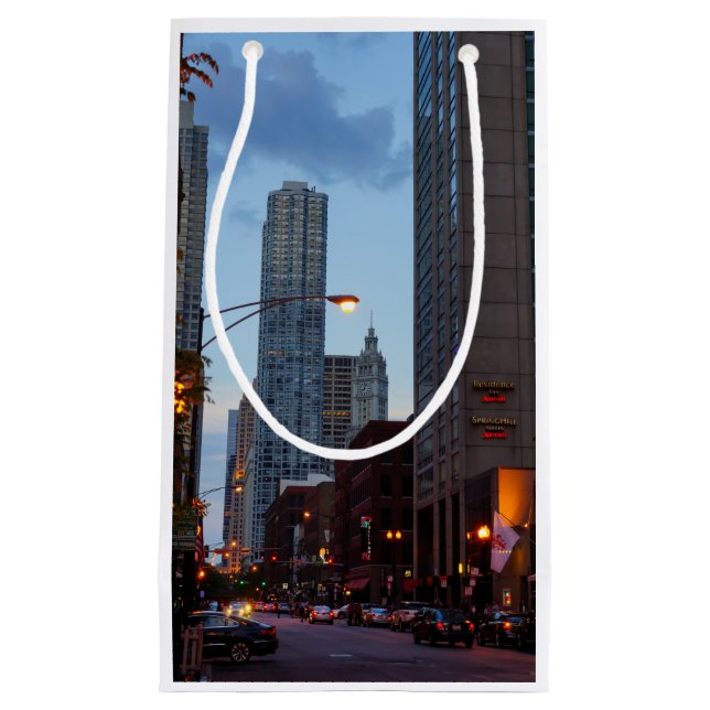 Chicago Street Scene Small Gift Bag (Front)