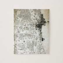 Chicago Streets and Buildings Vintage Map