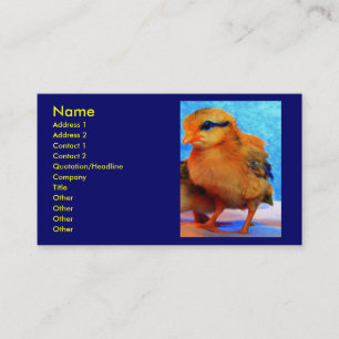 Chick-A-Dee-Light I Business Card
