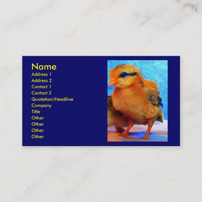 Chick-A-Dee-Light I Business Card (Front)