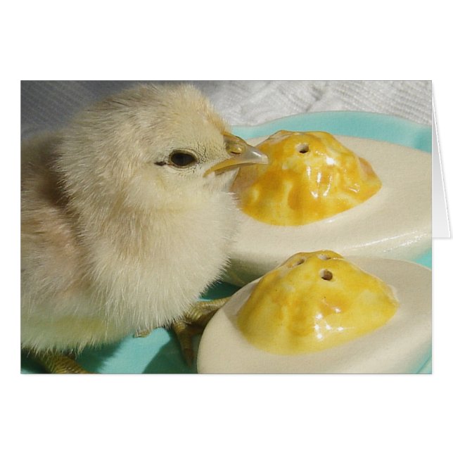 Chick and Deviled Eggs 2 (Front Horizontal)