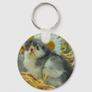 chick, animal, baby, cute, flower yellow, white, key ring