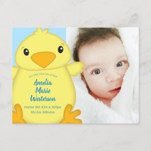 Chick Baby Shower Blue Postcard