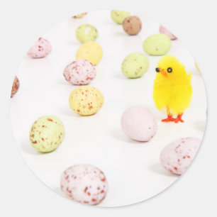 chick eggs easter classic round sticker