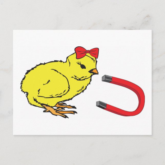 Chick Magnet funny lady's man Postcard (Front)