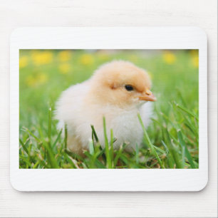 Chick Mouse Pad