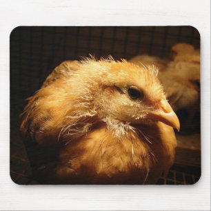 Chick Mouse Pad
