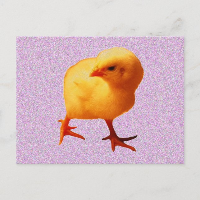 Chick on the Move Postcard (Front)
