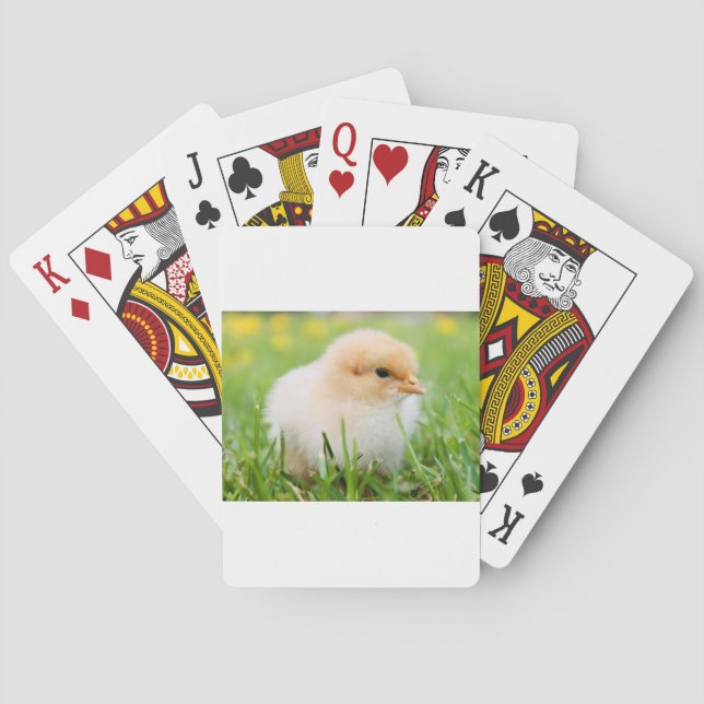 Chick Playing Cards (Back)