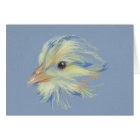 Chick Plymouth Barred Rock