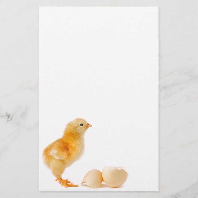 Chick Stationery (Front)