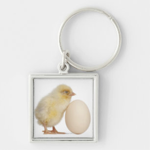Chick with egg (2 days old) key ring