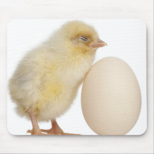 Chick with egg (2 days old) mouse pad