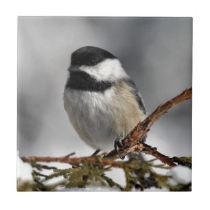 Chickadee_9478 Ceramic Tile