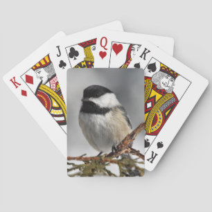 Chickadee_9478 Playing Cards