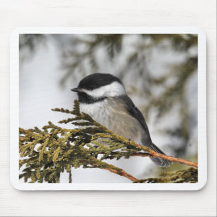 Chickadee_9505 Mouse Pad