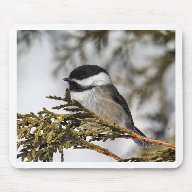 Chickadee_9505 Mouse Pad (Front)