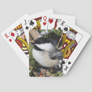 Chickadee_9530 Playing Cards