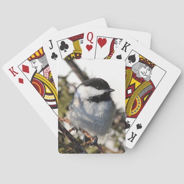 Chickadee 9693 playing cards (Back)