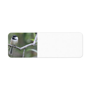 Chickadee address labels