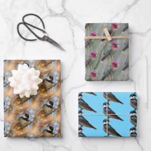 Chickadee / Anna's Hummingbird / Tree Swallow Wrapping Paper Sheet